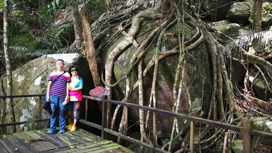 游《海南昌江黎族自治县-霸王岭》2019/3/10