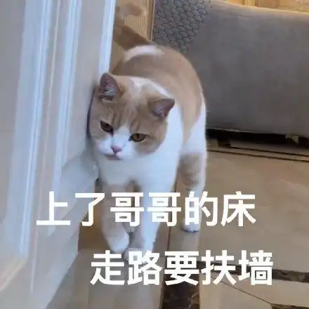 上了哥哥的床 走路要扶墙(喵星人表情包)_喵星人_扶墙_走路_哥哥表情