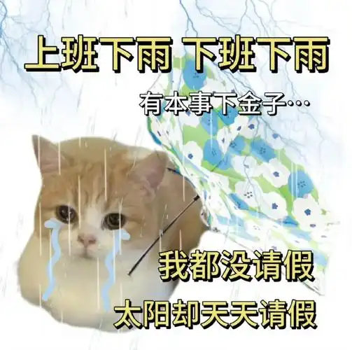 北京暴雨有一种谁都别想活的感觉##北京这暴雨是依萍又去要钱了吗