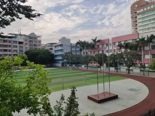 梅县区丽群小学体育课网络课程教学指导(八)