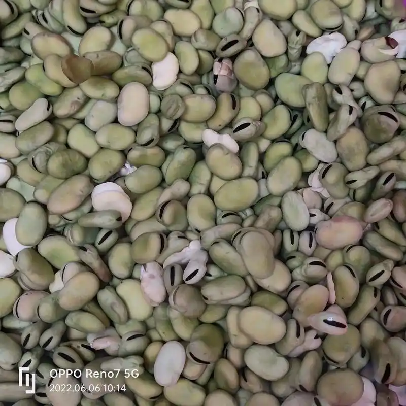 兰花豆用水泡一天,去皮,控干水分,用等量的油炸,油炸过程中少 - 抖音