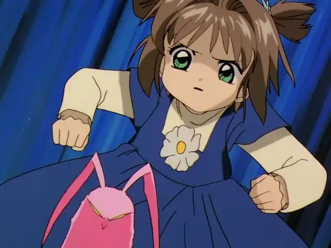 求有木之本樱坚定眼神的图片若干