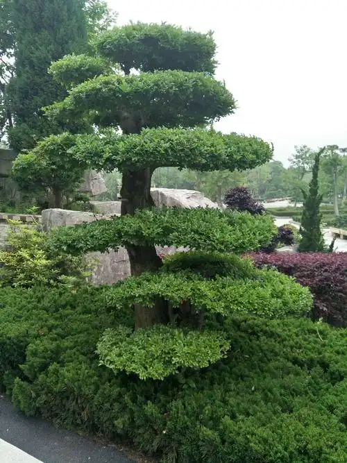 爱你一万年15272080669的美篇 - 美篇