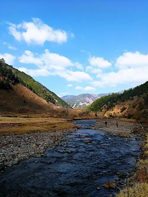 走进水花树瀑布