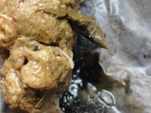 它这段时间的便便上有这种小虫子,请问这是哪一种寄生虫,该吃什么打虫