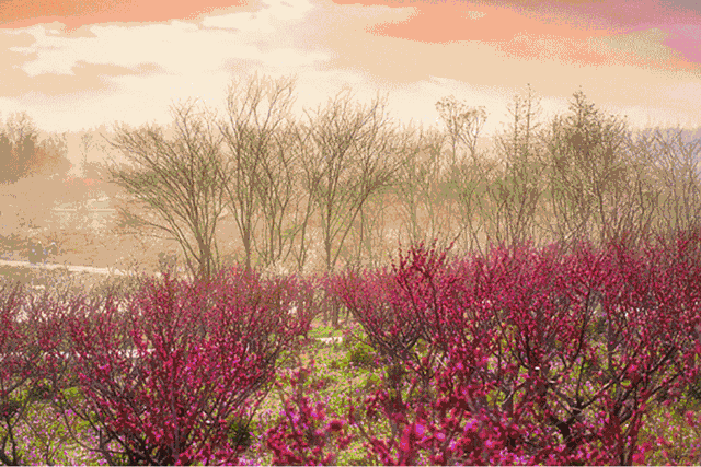 640_427gif 动态图 动图