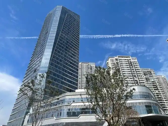 【11图】滨江万科中心高区电梯口 315平高标准交付 双面采光正看长江