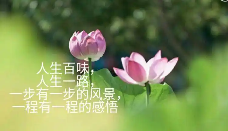 人间三千事,淡然一笑间.