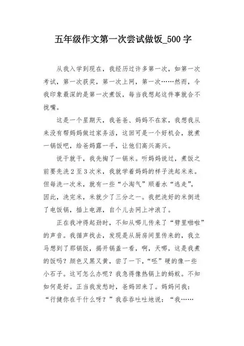 五年级作文第一次尝试做饭500字