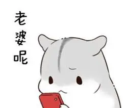 老婆永远是对的表情包 - 老婆永远是对的微信表情包 - 老婆永远是对的