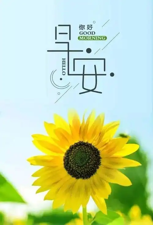 超适合早上发朋友圈的早安句子 最美的早安问候图片