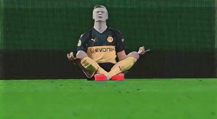 球星埃尔林哈兰德