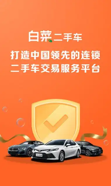 白菜二手车直卖网