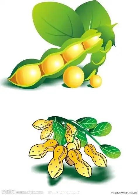 卡通豆子简笔画