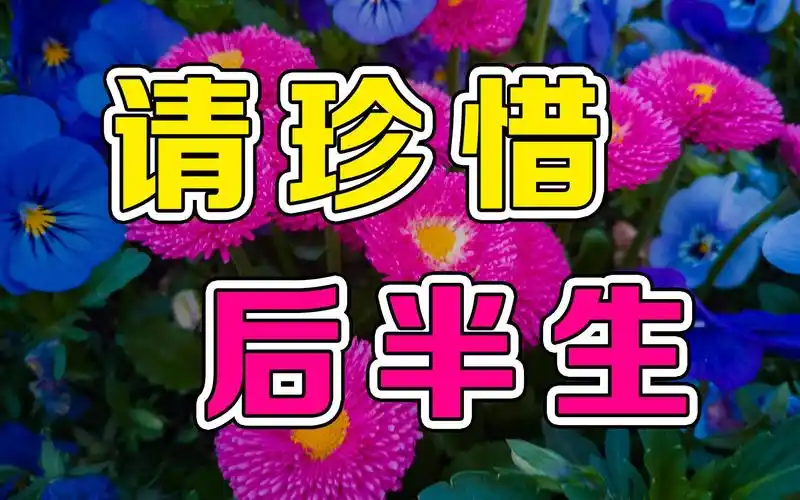 一辈子不长 请珍惜后半生