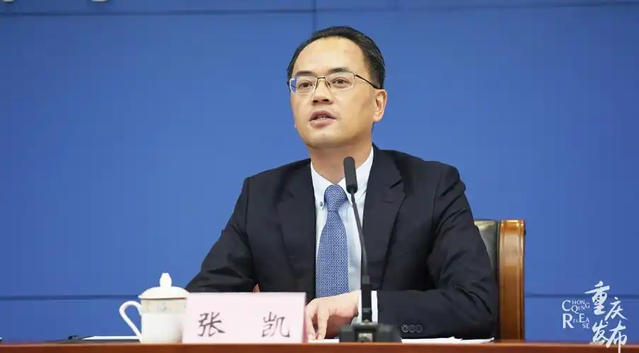 张凯回答记者提问 吴汪洋 摄