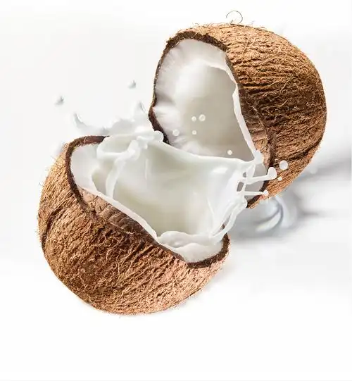 头等椰鲜榨椰子汁 正宗海南生榨椰汁天然健康245ml*6瓶装蛋白饮料