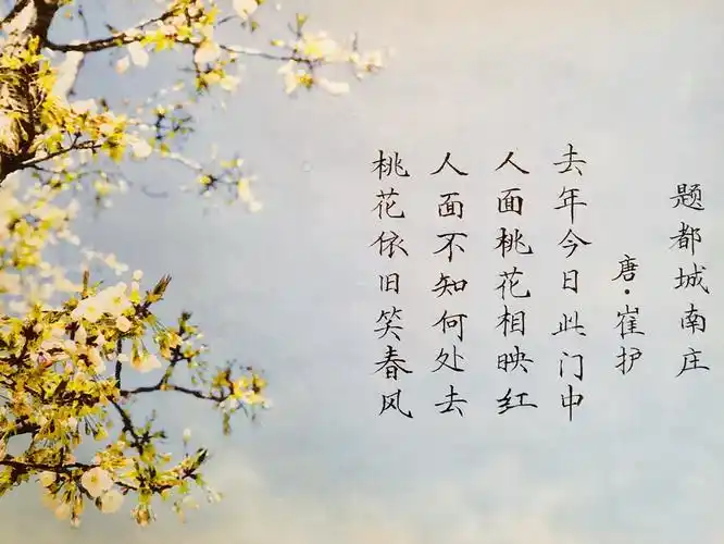 吟古诗,赏桃花,漫步在春色浪漫的季节里!请欣赏高清摄影图片!