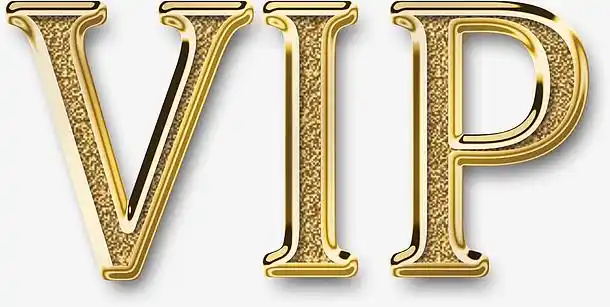 vip字样,立体