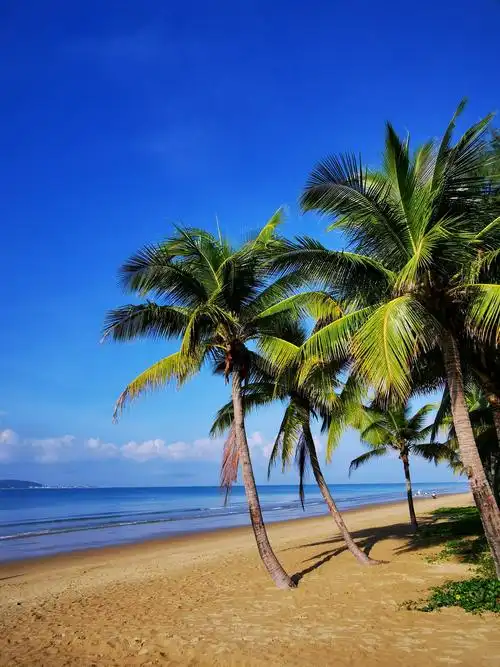 海南三亚印象(下)