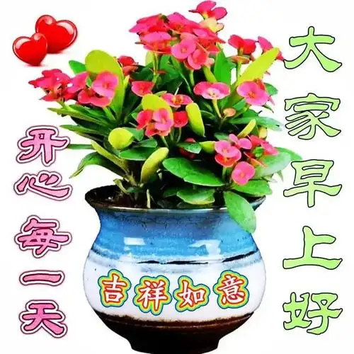 2023年9月21日周四早上好温馨早安祝福图片问候语早安问候祝福语暖心