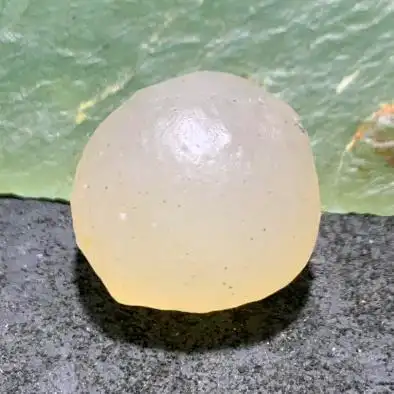 精美天然戈壁白玛瑙原石一颗尺寸225222