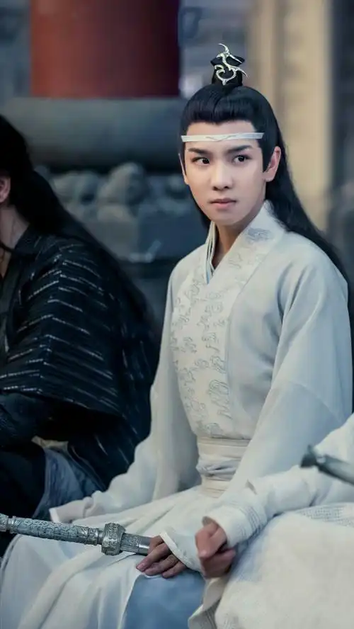 陈情令 蓝思追 郑繁星