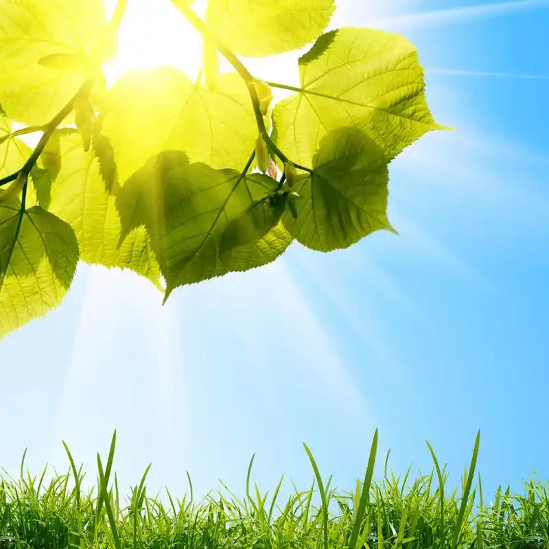 了了|夏天把我们晾在衣杆上晒(诗歌)