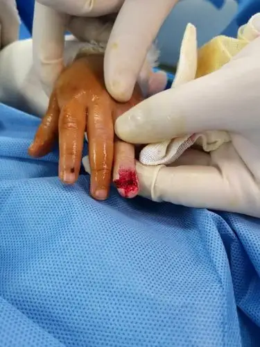 写美篇小孩子童年本来是美好幸福的.