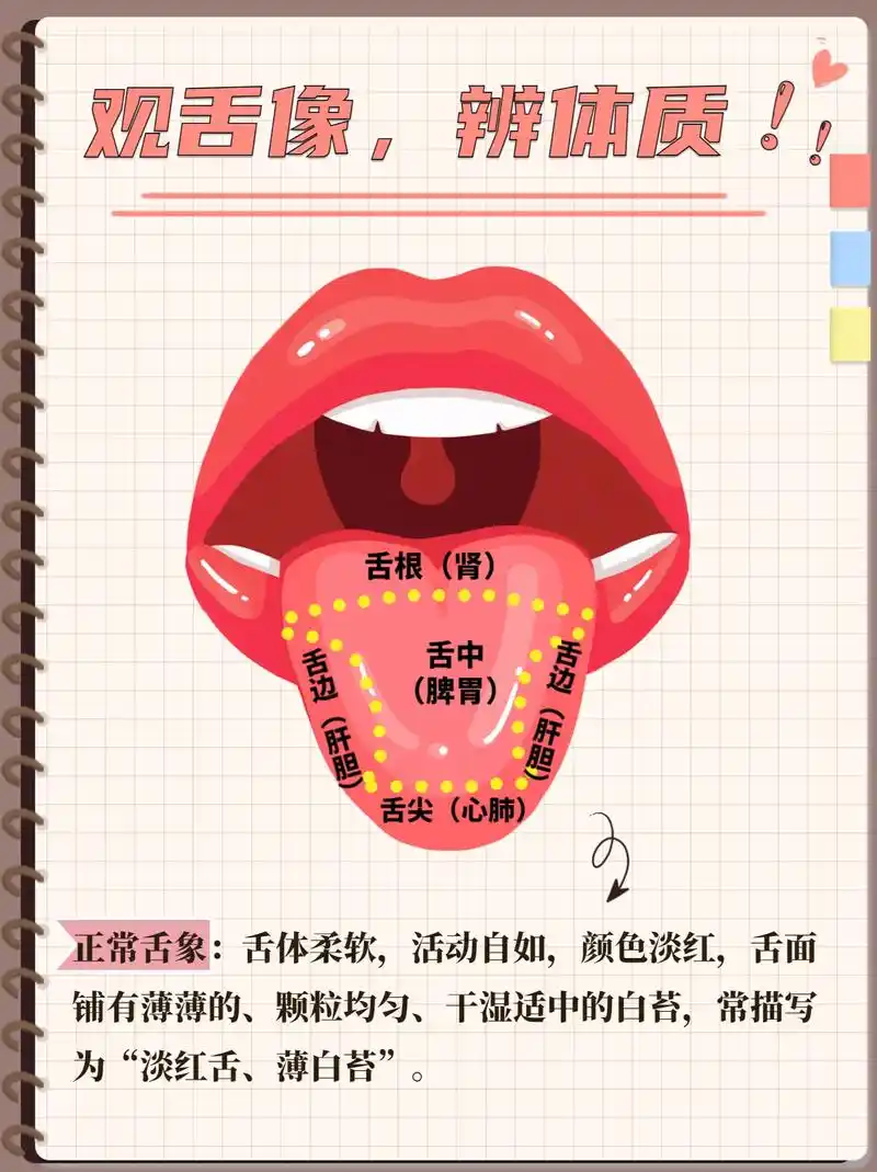 舌诊到底看什么,正常健康的舌头什么样?