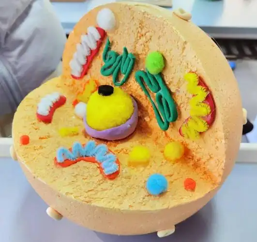 奉贤中学高一年级项目化学习"细胞模型的构建"获奖名单出炉啦