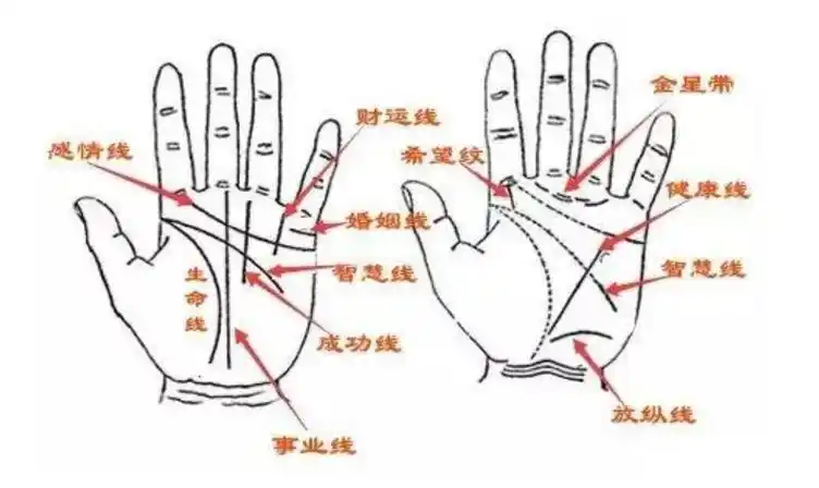 相学——十种富贵手纹