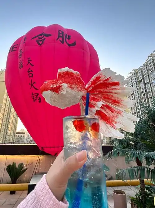 合肥的!大鱼海棠火锅!