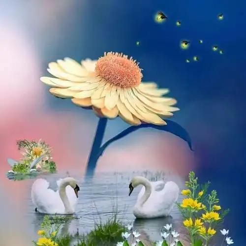 增加好运的微信头像_头像图片_扣扣乐园