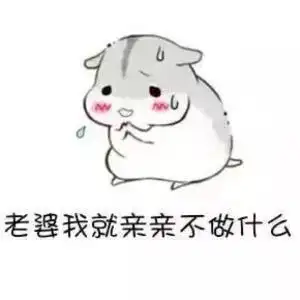 仓鼠撩老婆表情包老婆我想你了快晕了需要老婆亲亲