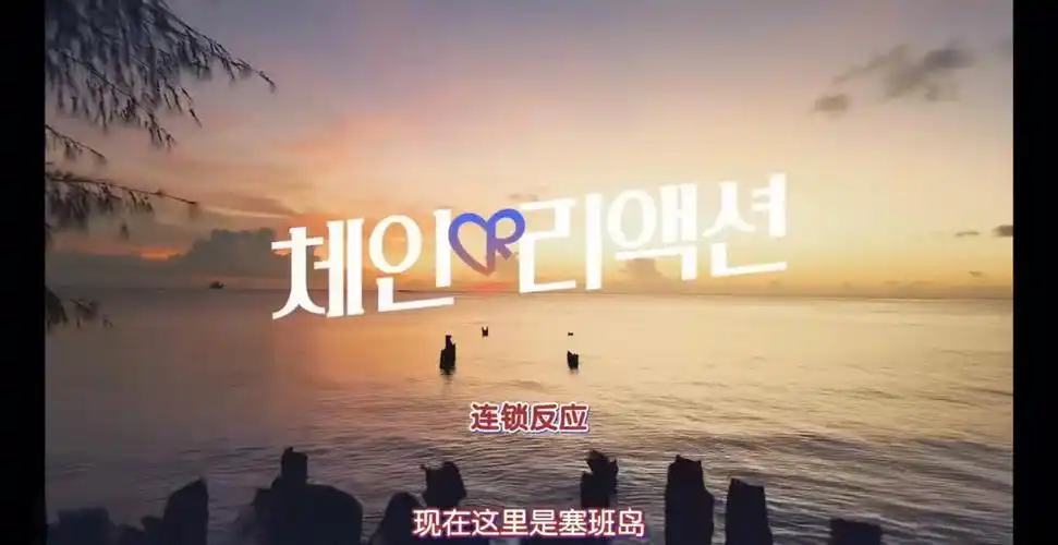 连锁反应让你脸红心跳的恋综