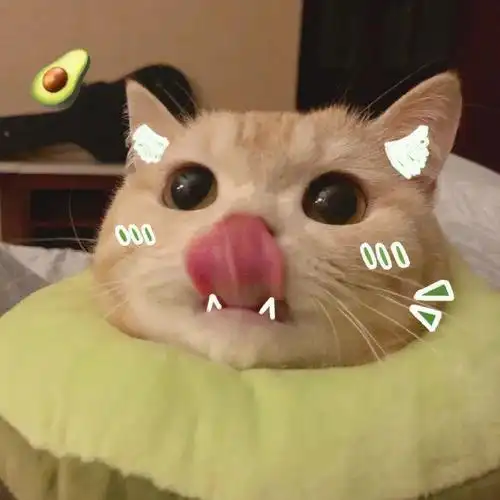 橘猫凭吐舌头撩倒200万粉丝五月天阿信都顶不住