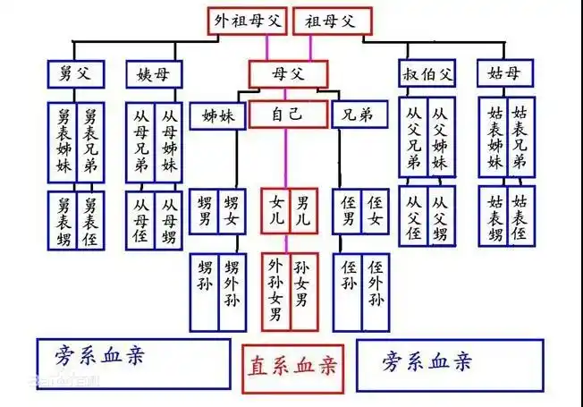 云南一亲表兄妹结婚10年,如今想离婚,结果.