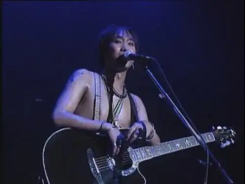 黄家驹1991年演唱会上的吉他