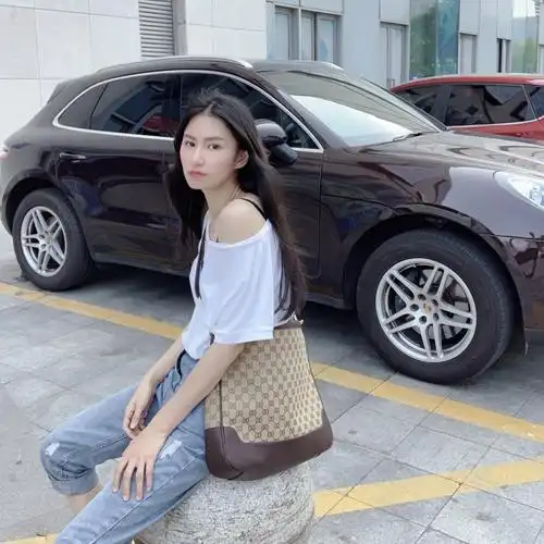 一折老花包可爱_抖音网红微爷中古包包女春夏百搭帆布大容量老花格子