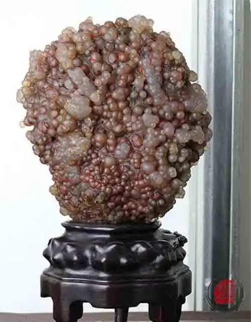 这么丑的石头哥也是给跪了