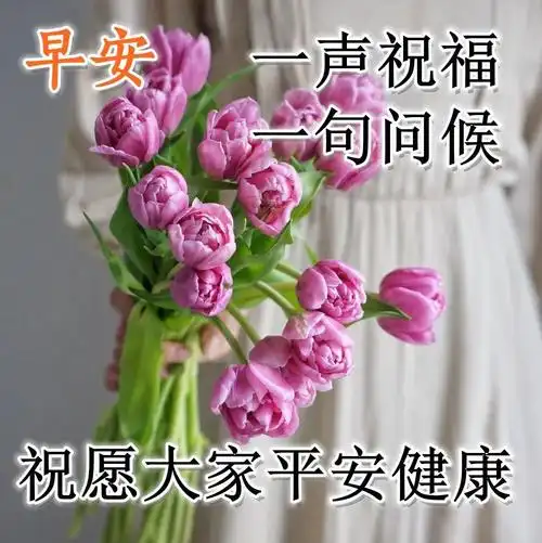 清晨很赞的暖心句子 好看暖心的早安图片问候