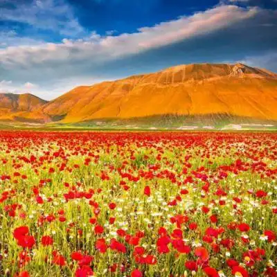 清新好看绿色系很优质的风景头像简单大方的有气质风景头像最新