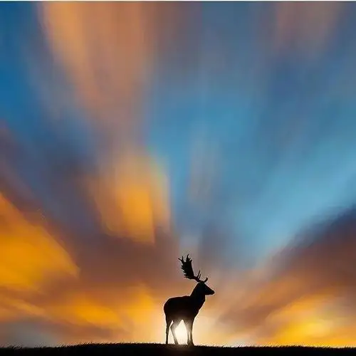 有深度有涵养的句子领悟生活真谛的句子