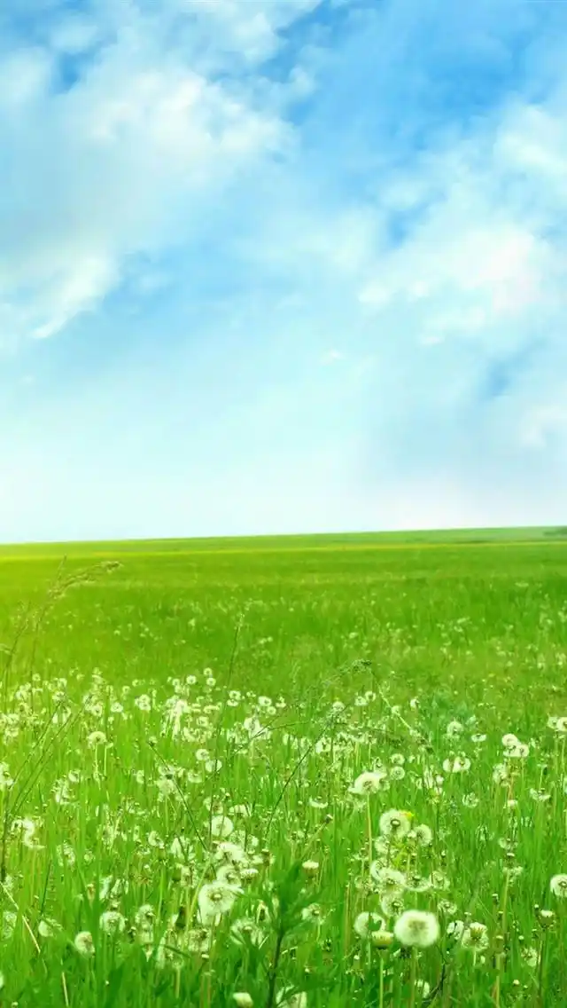 首页 手机壁纸 风景 好看的大自然唯美田园景色图片手机壁纸640_1136