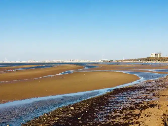 营口白沙湾黄金海岸.