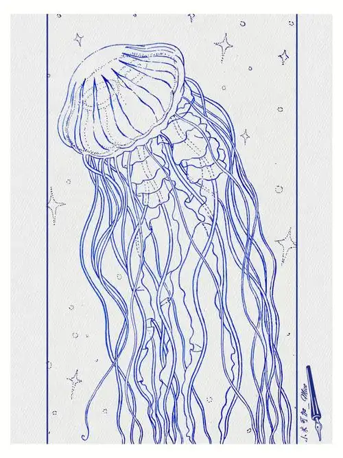 钢笔绘画水母