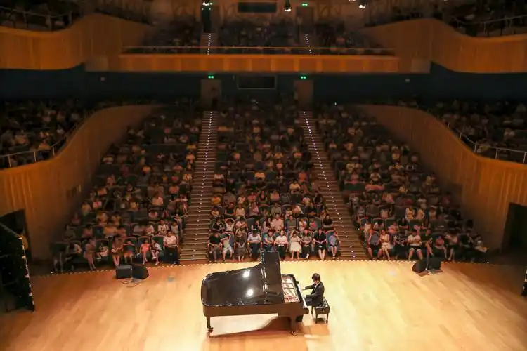 从这里走向全国!昨晚卢星宇琴技让观众"心跳加速",惊艳临沂!