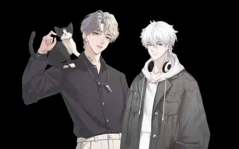 《阳光彩虹小白马》《只对你有感觉》《生日祝福歌》《啷个哩个啷》