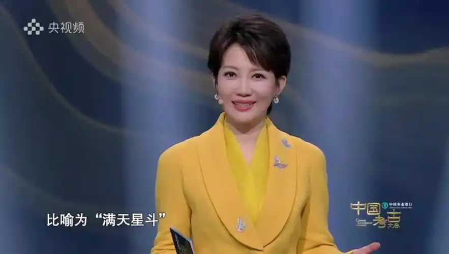 央视考古大会来了主持人王端端播音腔出戏明星推广人喧宾夺主